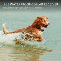 VIP Electric Dog Training Collar Waterproof Dog Bark Collar Pet With Remote Control Rechargeable Anti Barking Device Equipment
