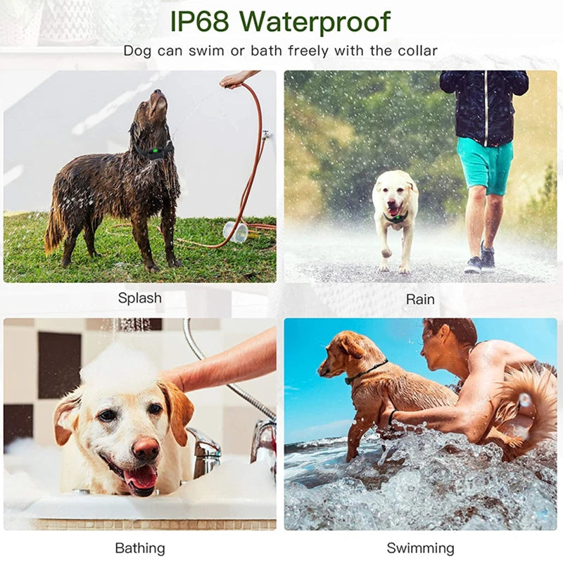 VIP Electric Dog Training Collar Waterproof Dog Bark Collar Pet With Remote Control Rechargeable Anti Barking Device Equipment