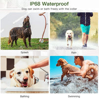 VIP Electric Dog Training Collar Waterproof Dog Bark Collar Pet With Remote Control Rechargeable Anti Barking Device Equipment